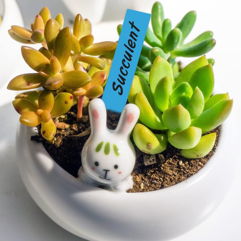 KINGLAKE 500 Pcs 5 Colors 2X10CM Plastic Waterproof Garden Plant Tags Nursery Garden Labels Markers Plant Stakes,Box of 500 - Image 5